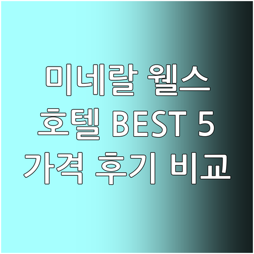 미네랄 웰스 호텔 추천 BEST 5 ..