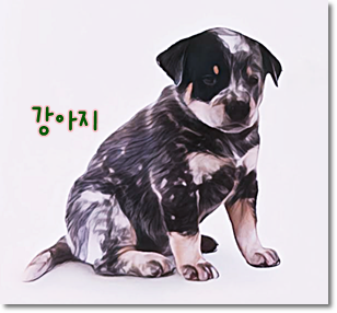 안녕soni