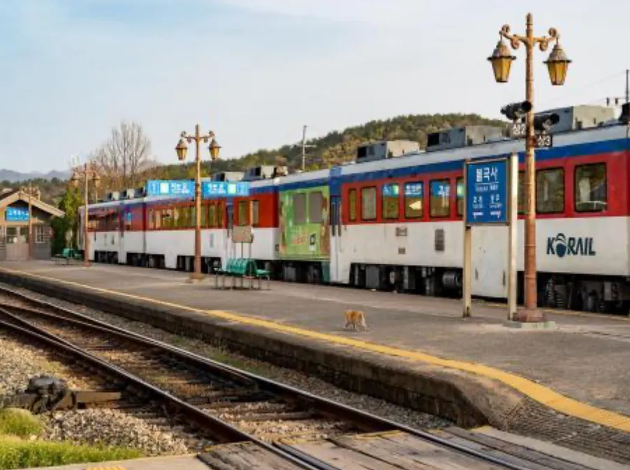 코레일-기차표-예매-바로가기-기차표예약-코레일예매