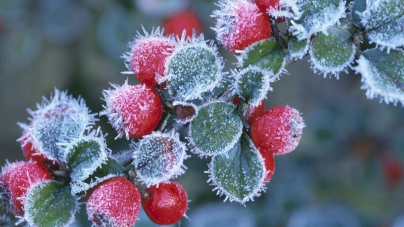 계절의 변화를 세분화한 24 절기 중 '상강' 이해하기