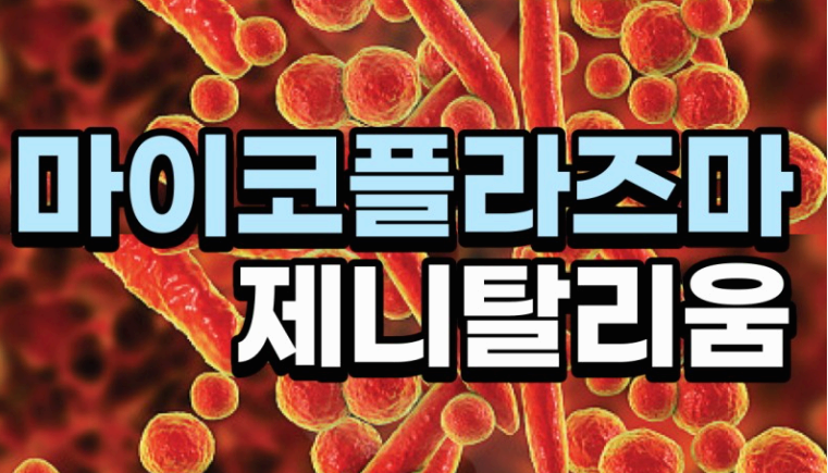 마이코플라즈마 폐렴