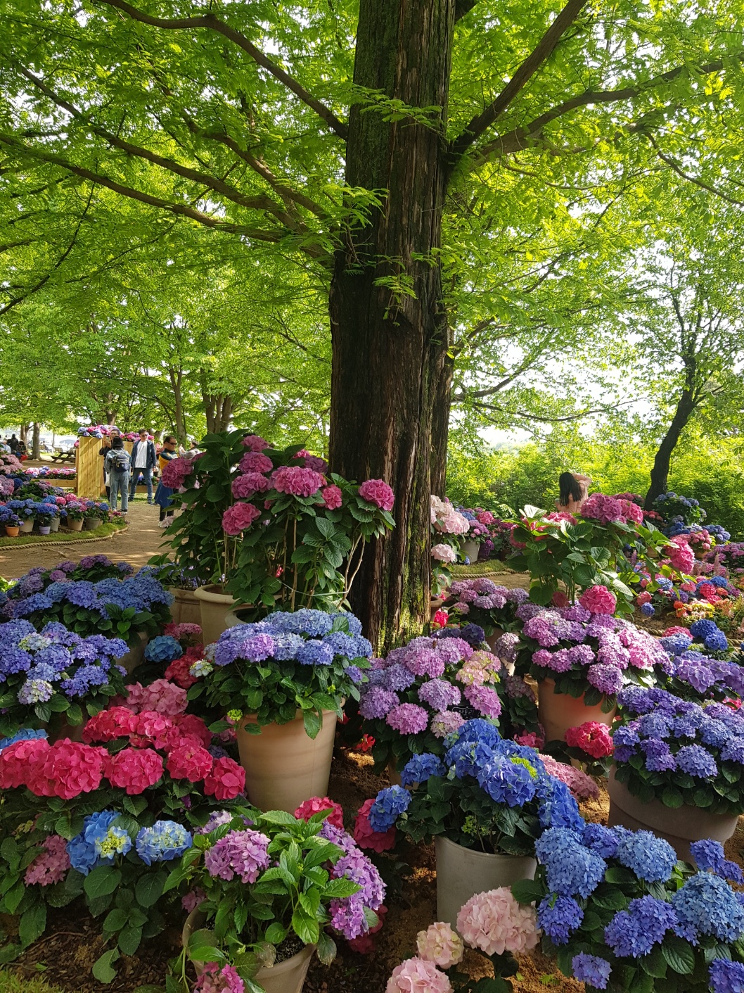 2026 수능 일정표