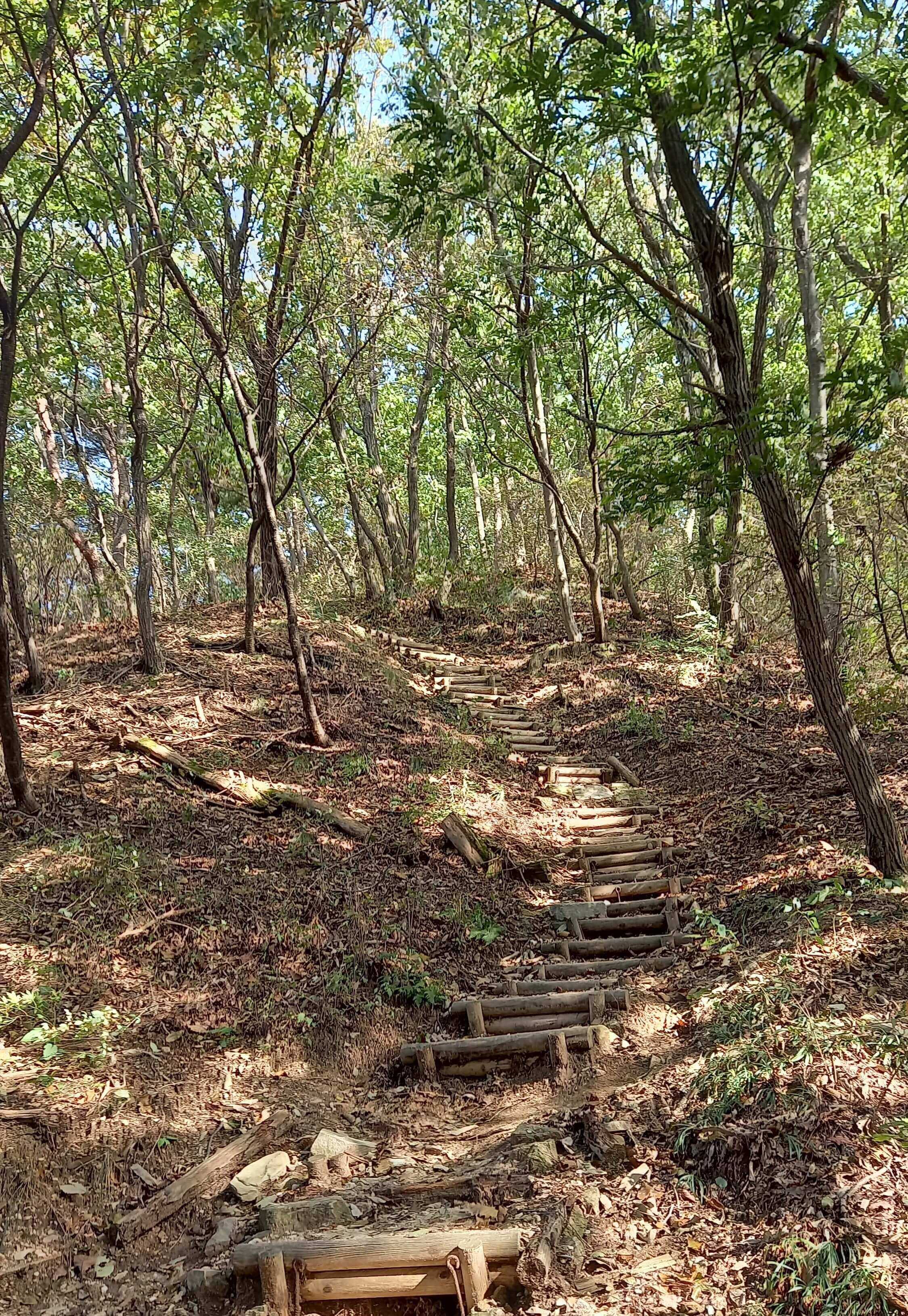 천안 성거산 깔딱고개 초입