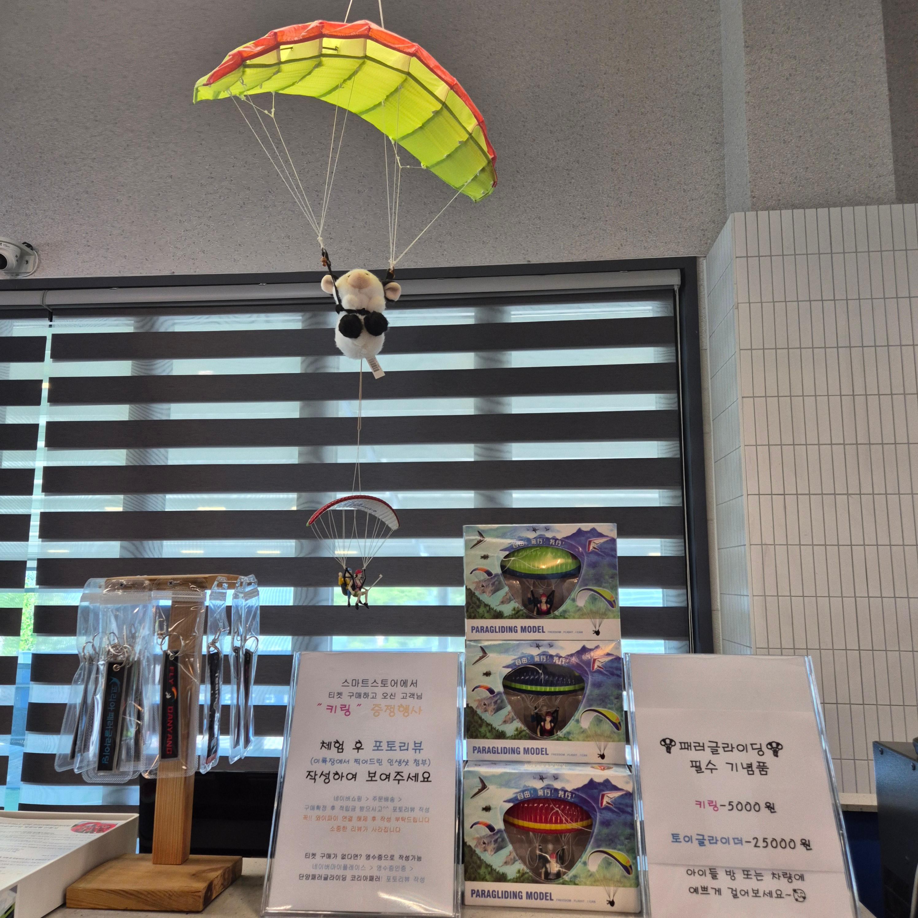 단양 패러글라이딩&amp;#44; 코리아패러&amp;#44; 코리아 패러글라이딩&amp;#44; 여름 패러글라이딩&amp;#44; 한여름 패러글라이딩&amp;#44; 카페산&amp;#44; 카페 산