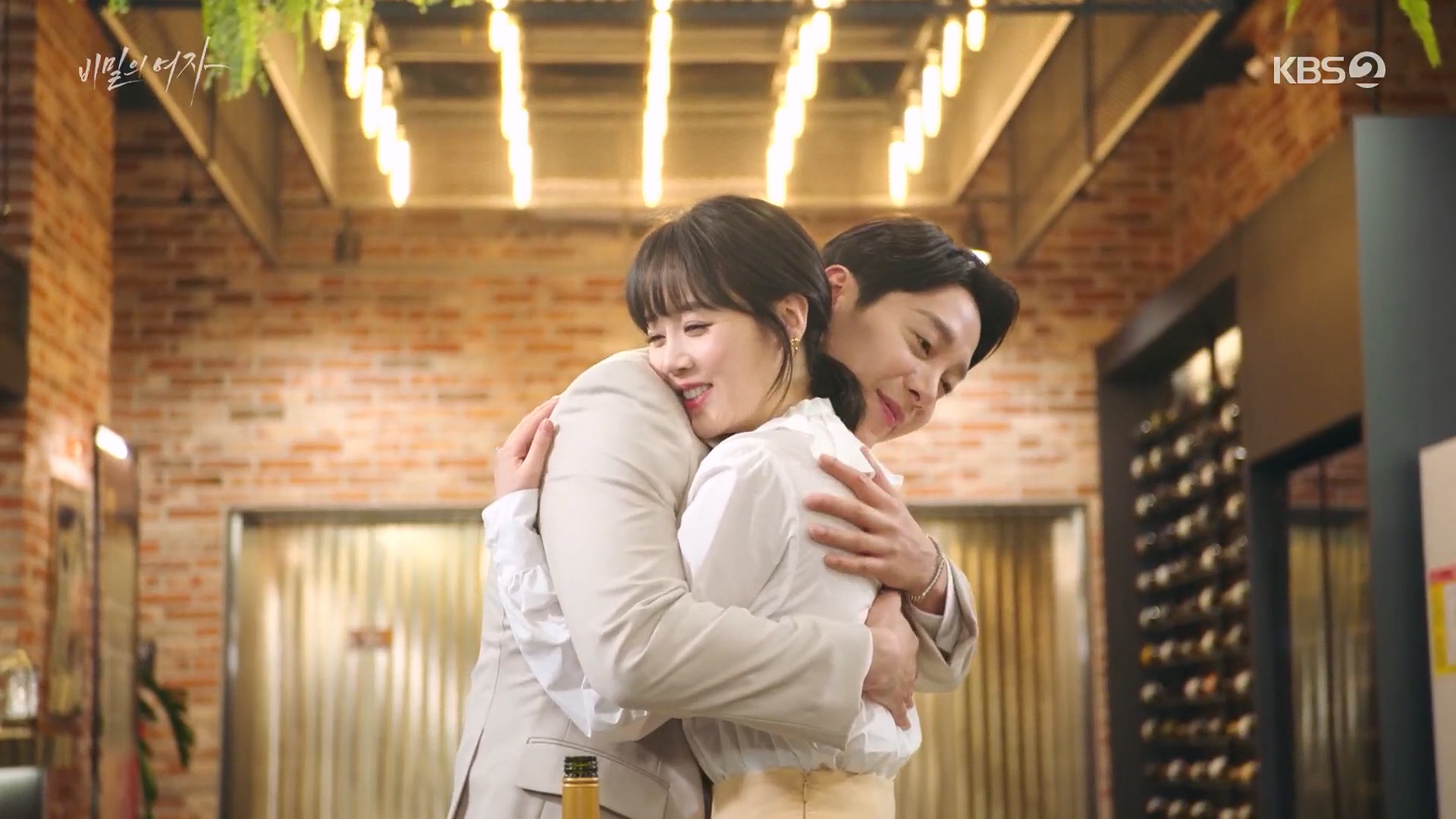 비밀의 여자 줄거리
