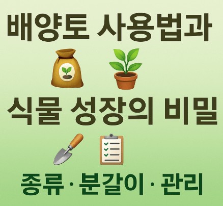 배양토 사용법과 식물 성장의 비밀 (종류&middot;분갈이&middot;관리) 사진