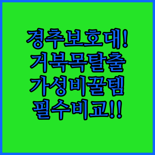 홈케어 경추 보호대 장단점 비교와 가..