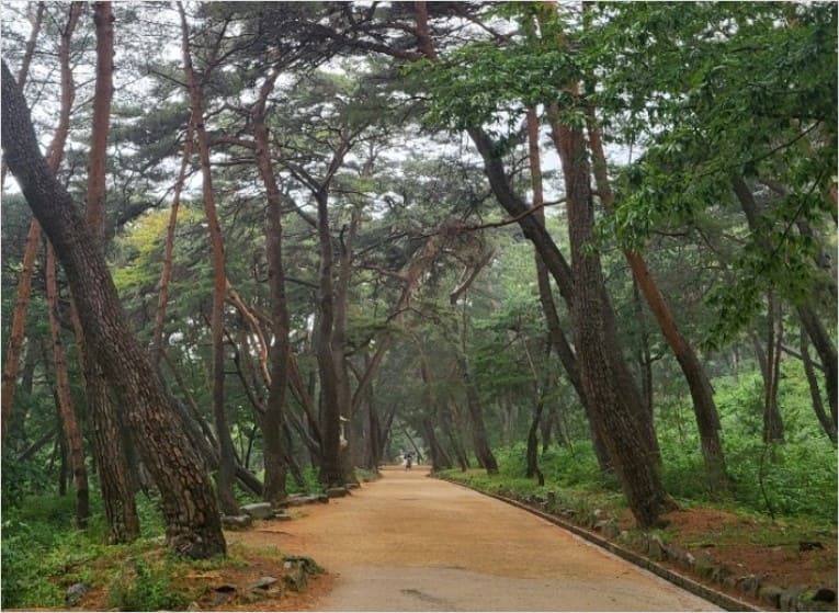 양산-통도사-무풍한송길