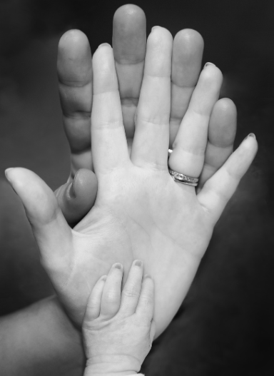 임신사전검사비지원제도