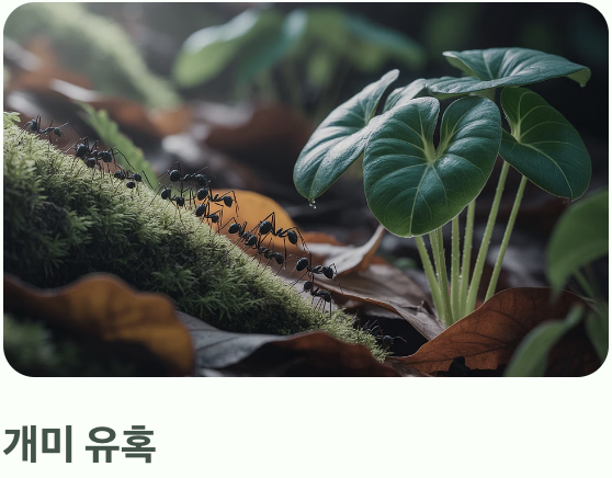 벌과 나비 대신 '개미'를 선택한 이유