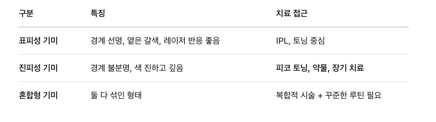 기미 종류 파악 (진피 vs 표피 vs 혼합형)