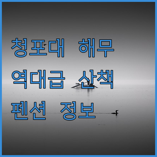 서해 청포대 해변 일출보다 몽환적인 ..