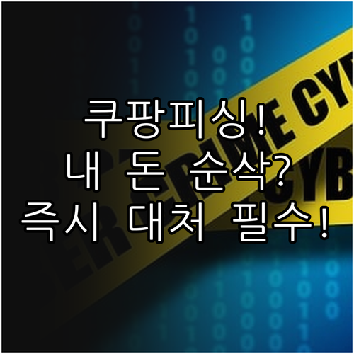 쿠팡 배송지연 보상 피싱 금융 정보 ..