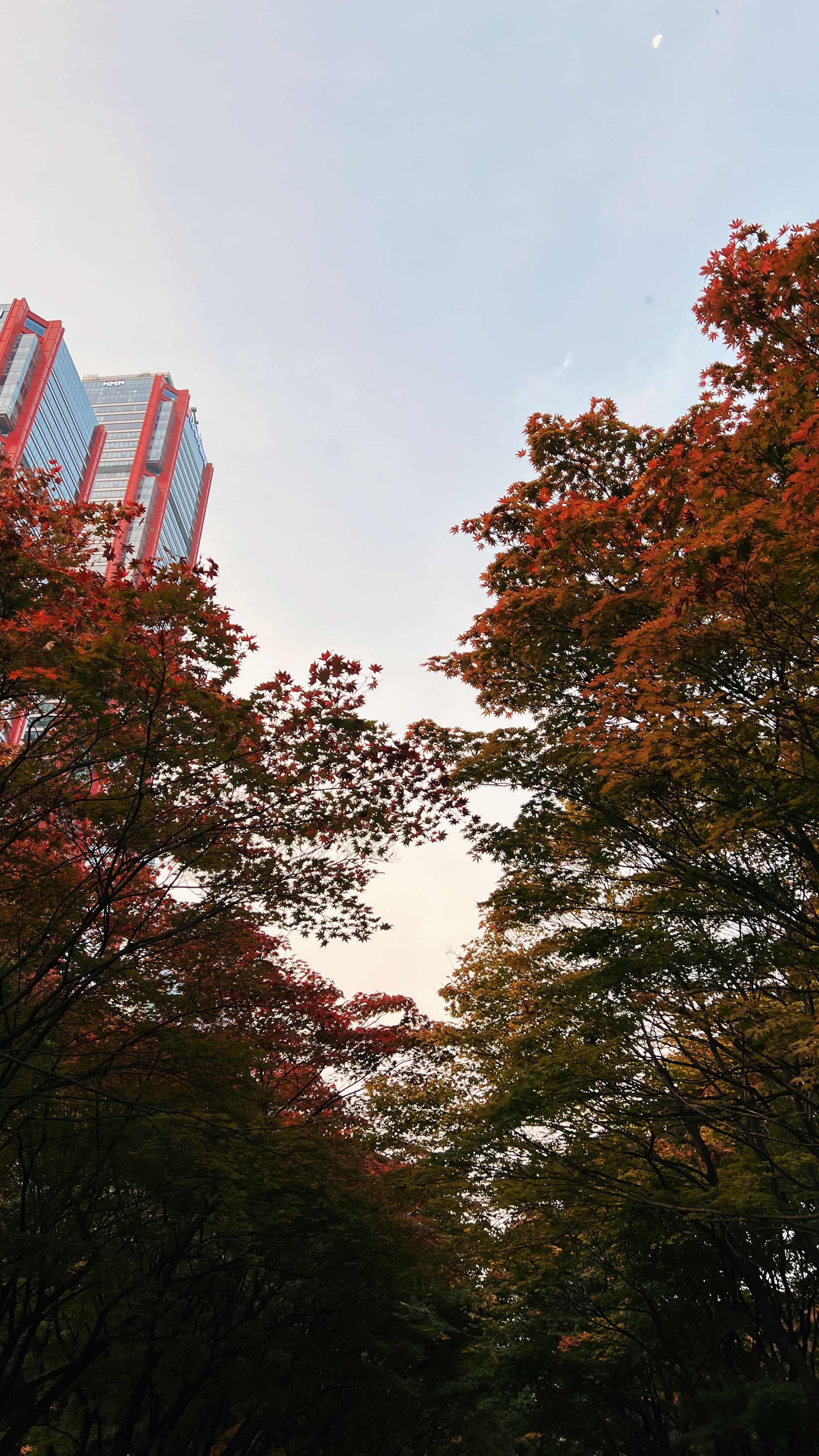 여의도 한강공원