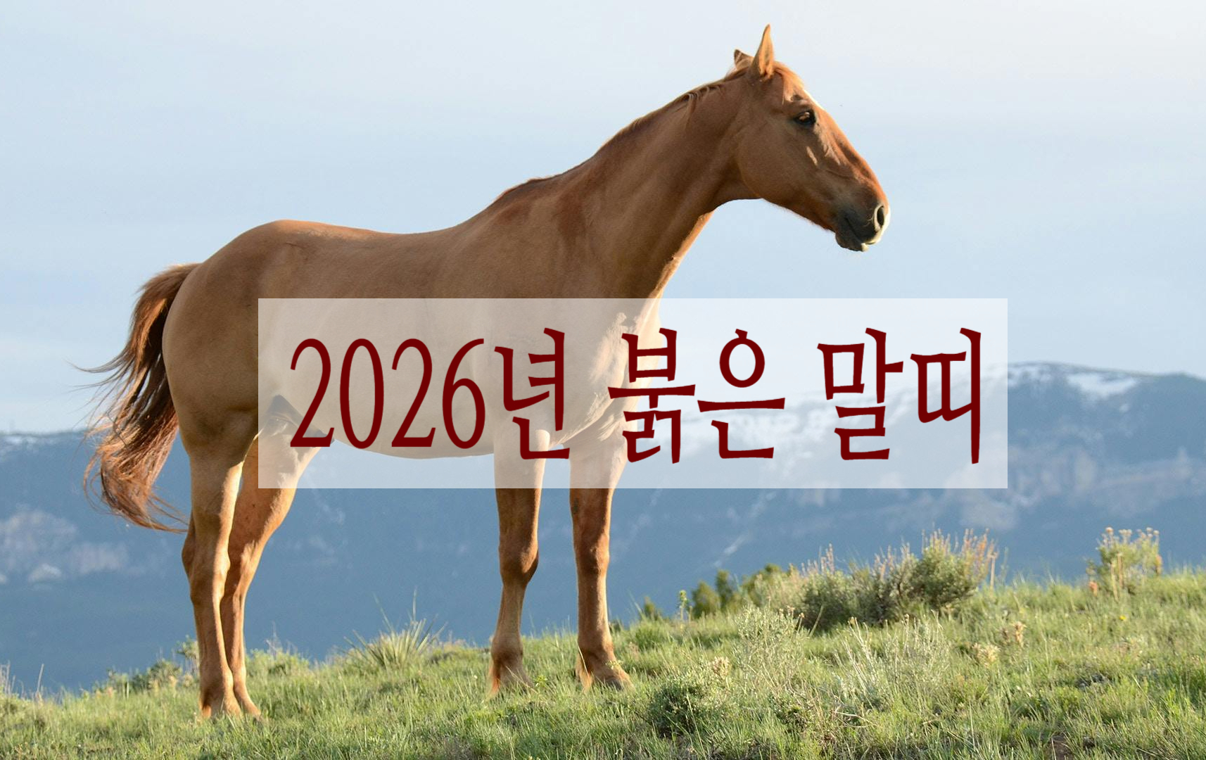 12간지 띠 순서 쉽게 외우기 2026년 띠 설명