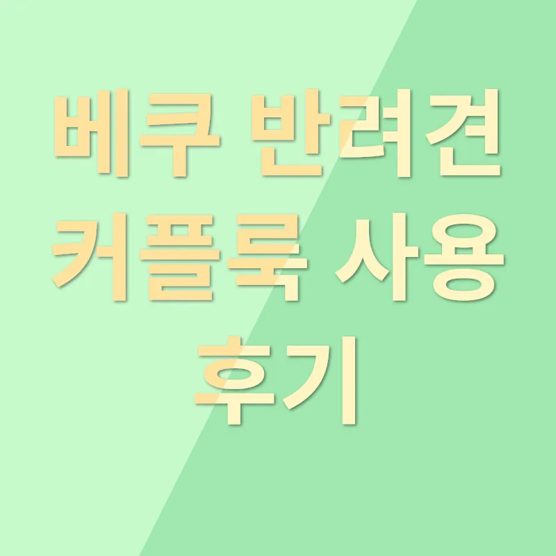 베쿠 반려견 커플룩_2