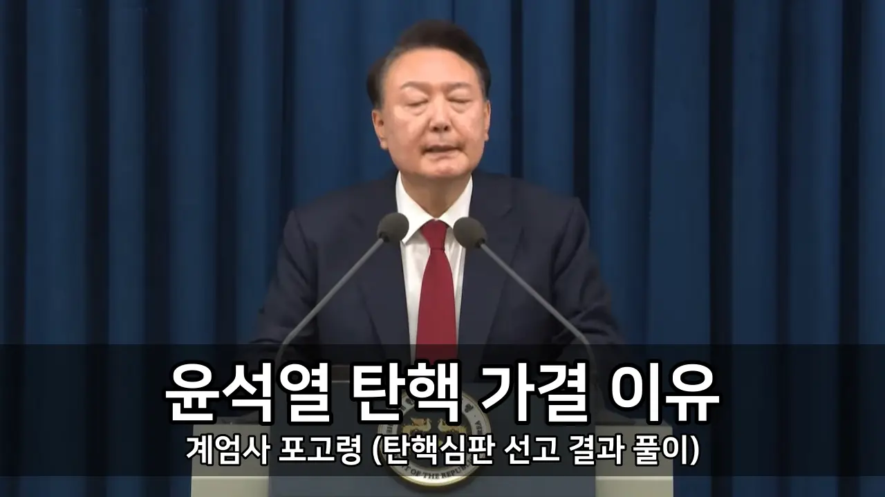 윤석열 탄핵 인용 가결 이유 2 - 계엄사 포고령 (탄핵심판 선고 결과 풀이)
