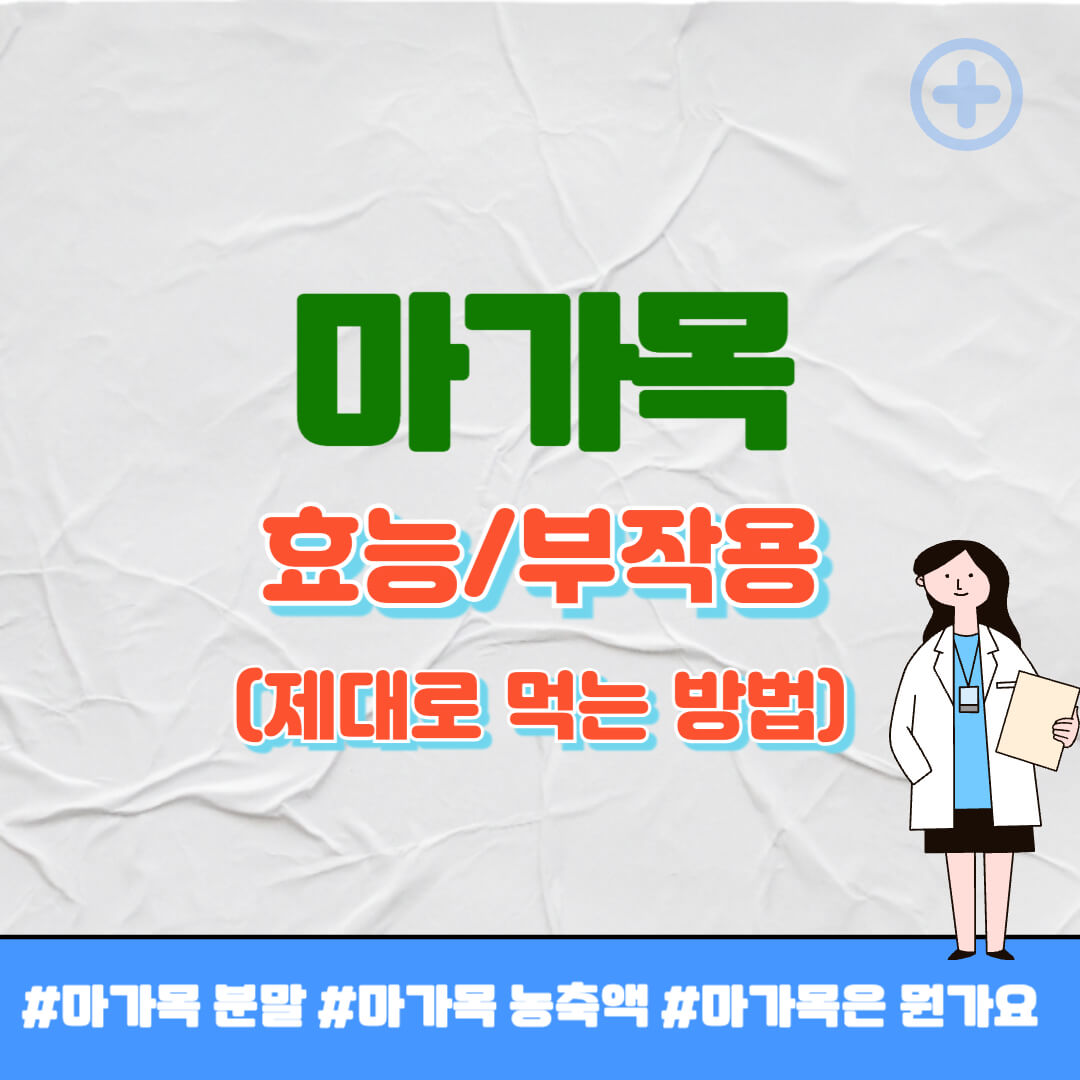 마가목 효능 썸네일
