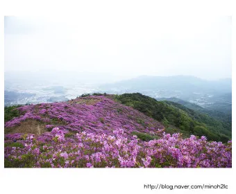 남원 봉화산 철쭉 산행 주차장 등산코스_9