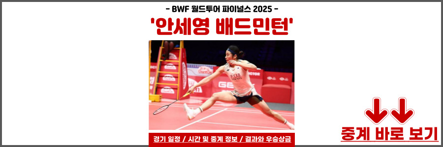 안세영 배드민턴