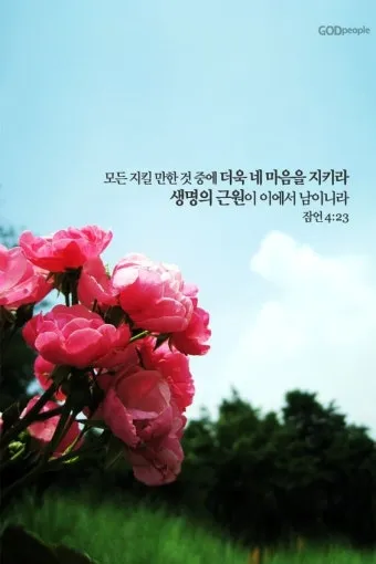 마음에 위로를 주는 말씀 모음 리스트 100선_7