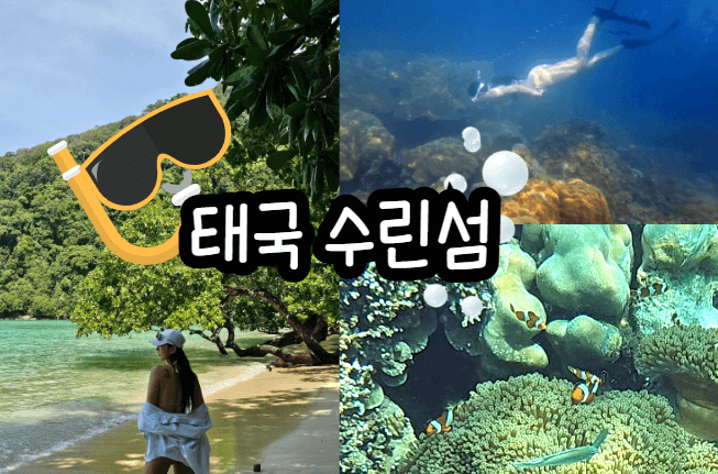 푸켓-프리다이빙