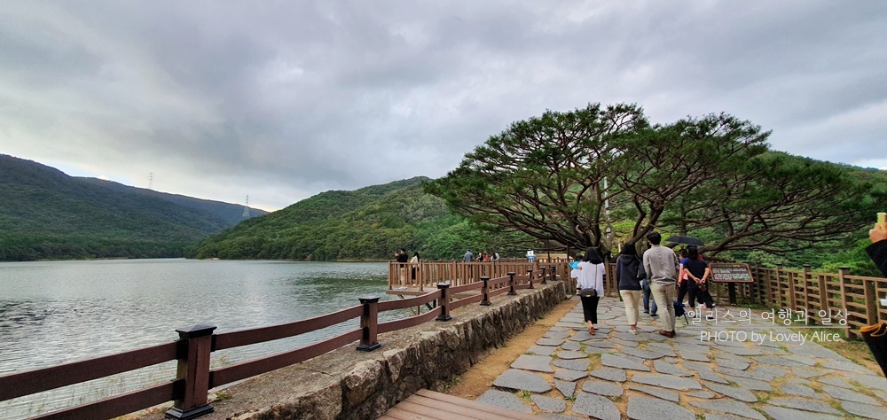 부산 근교 가볼만한곳 당일치기 나들이 BEST10 (기장 포함)