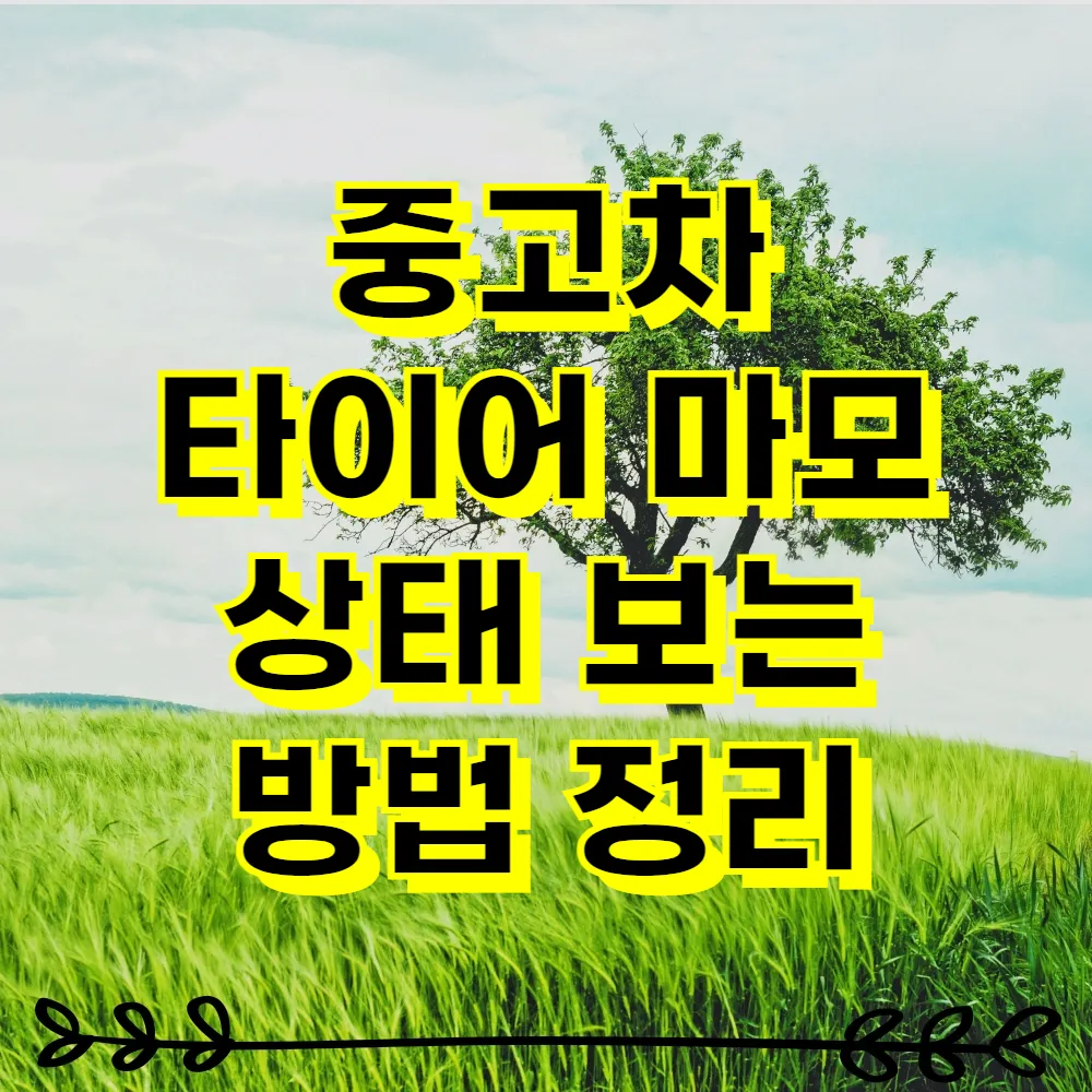 중고차 타이어 마모 상태 보는 방법 정리