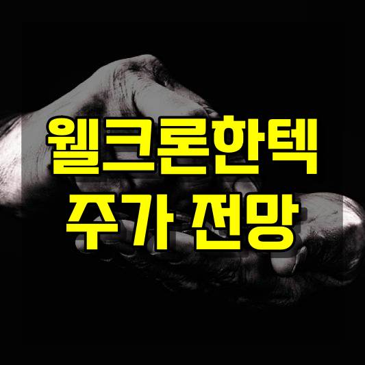 웰크론한텍 주가 전망