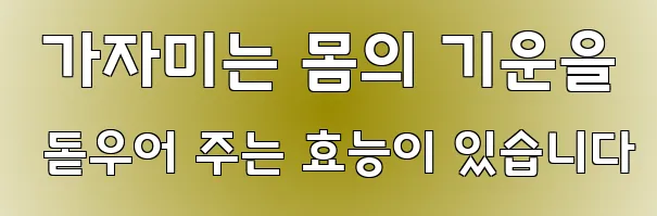  가자미는 몸의 기운을 돋우어 주는 효능이 있습니다