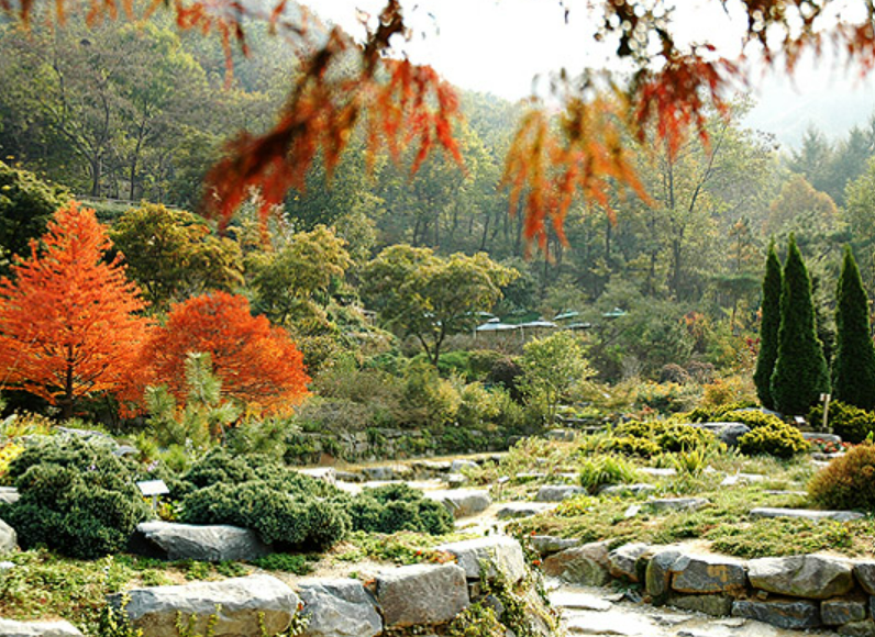 용인 한택식물원 안내