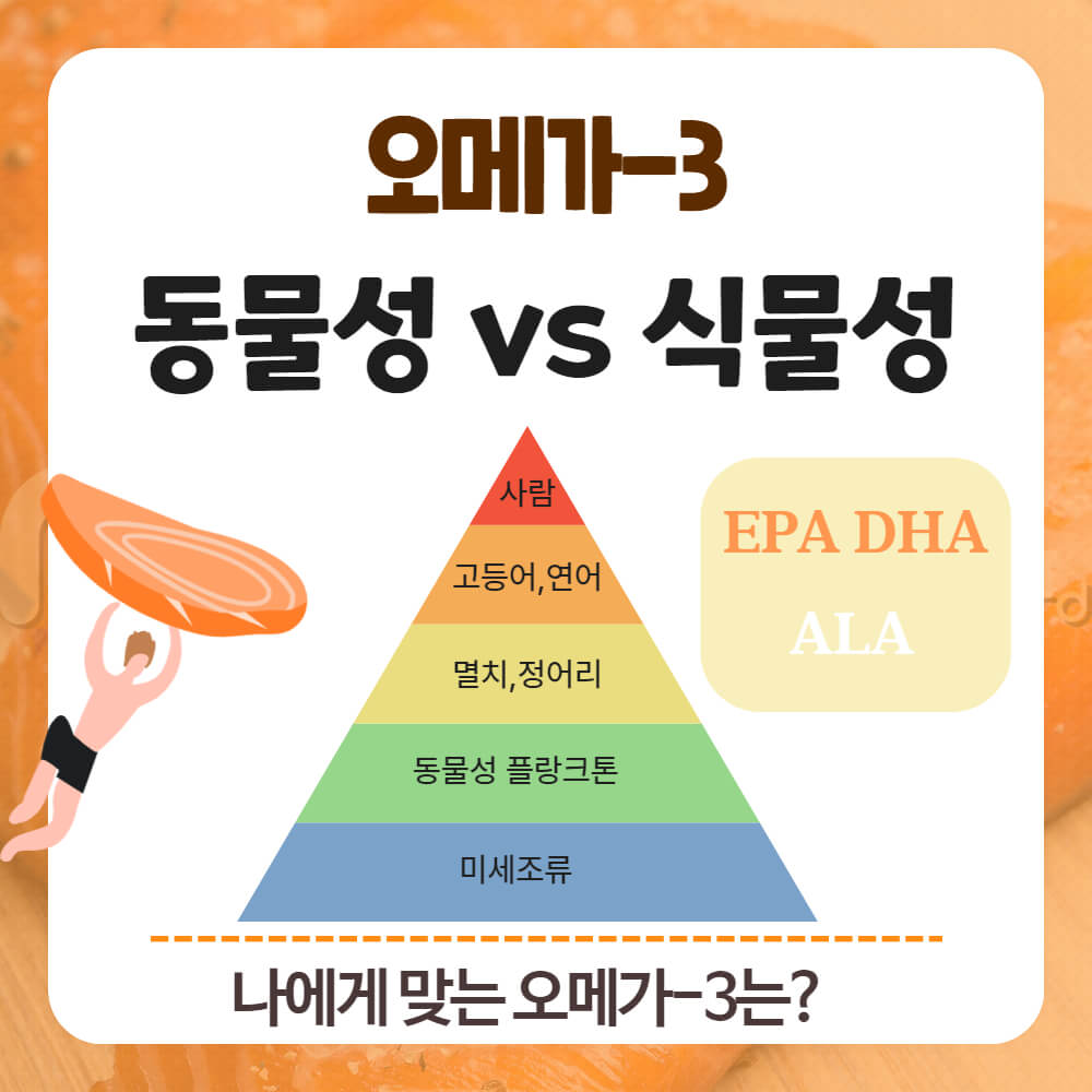동물성 오메가3, 식물성 오메가3 비교