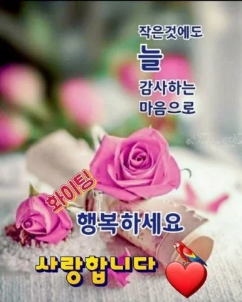 아침 인사말 이미지 모음 밝고 따뜻한 하루 인사 문구 정리_8
