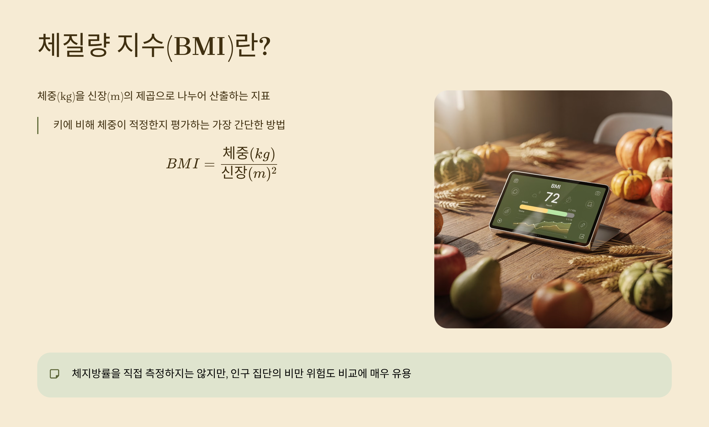 체질량 지수 계산식