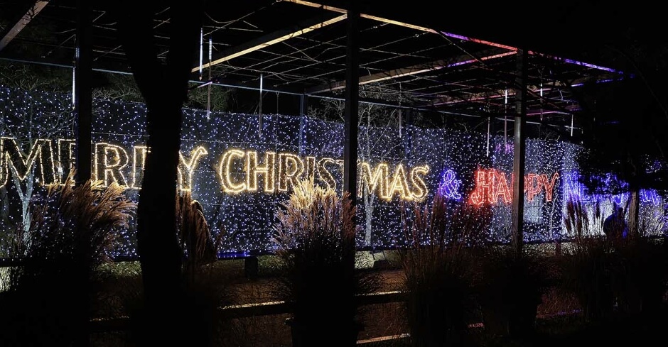 함평 겨울 빛축제