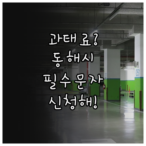 동해시 자동차 과태료 예방을 위한 주..