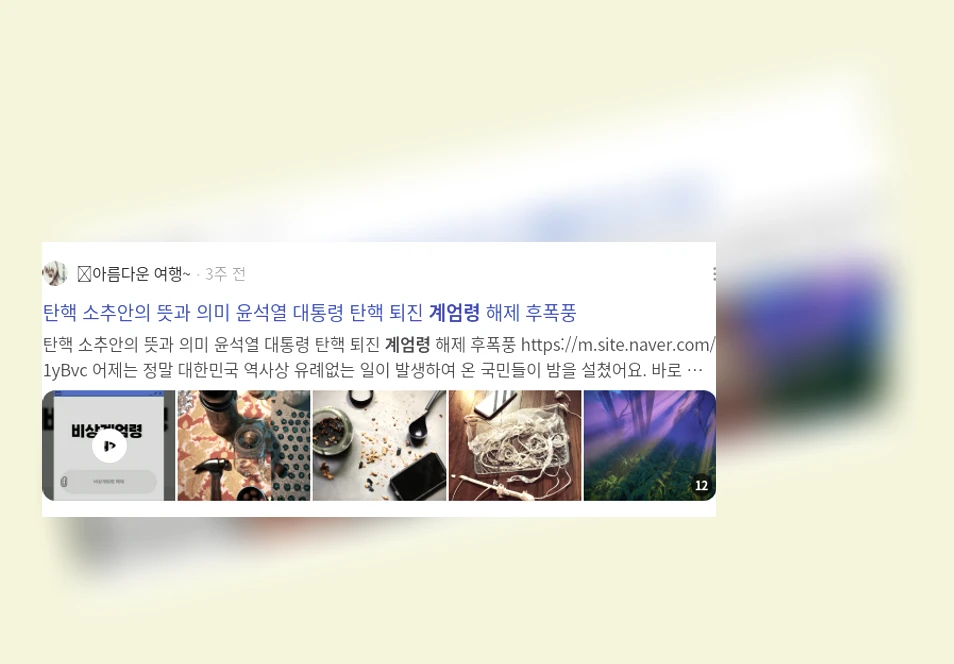 계엄령_2_subsection