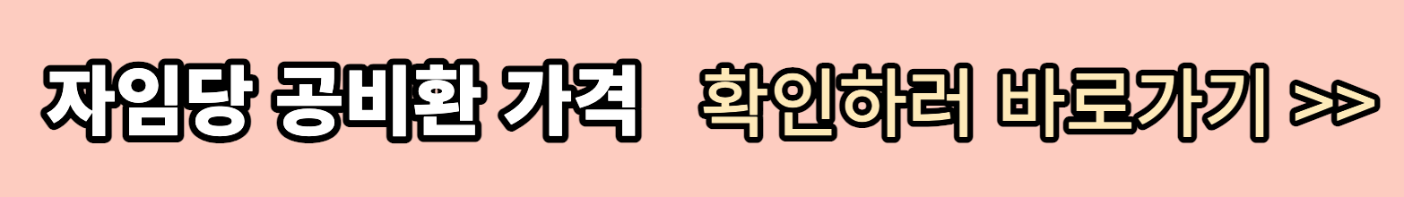 공비환 가격 &lt;한약다이어트&gt;