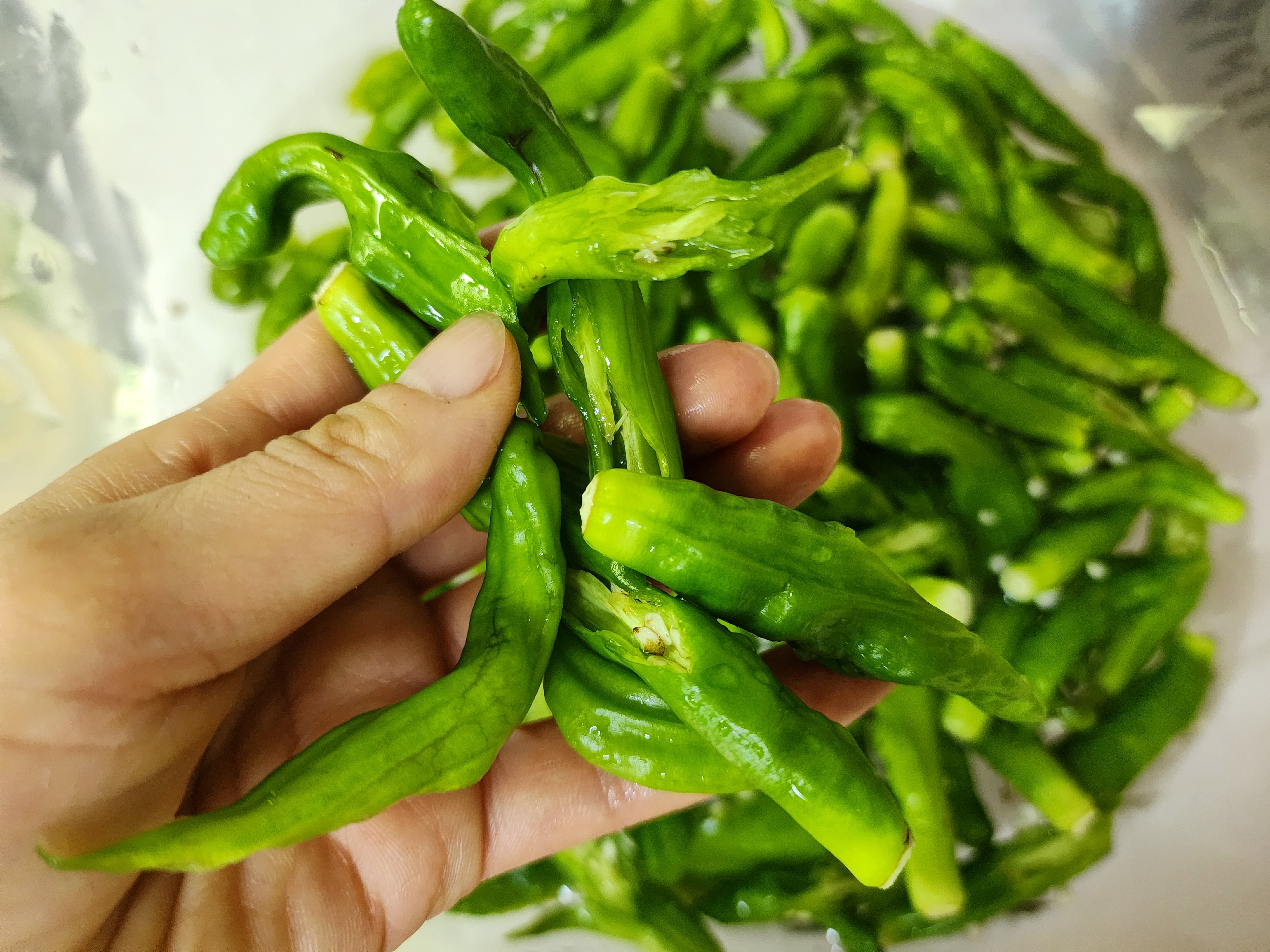꽈리고추 멸치볶음 맛있게 만드는법