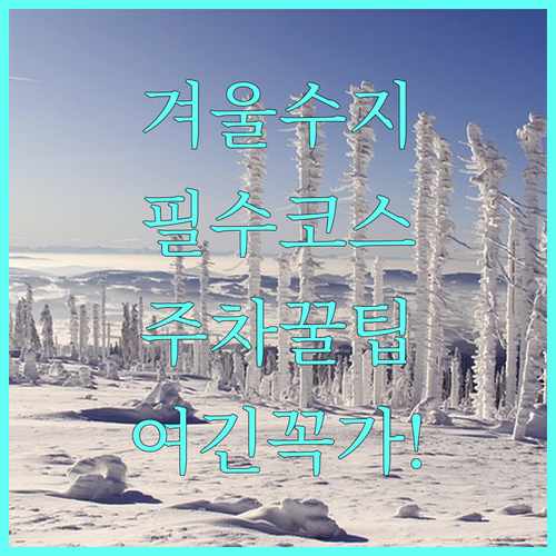 겨울철 용인 수지구 여행 코스 5곳과..