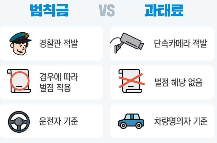 신호위반 조회