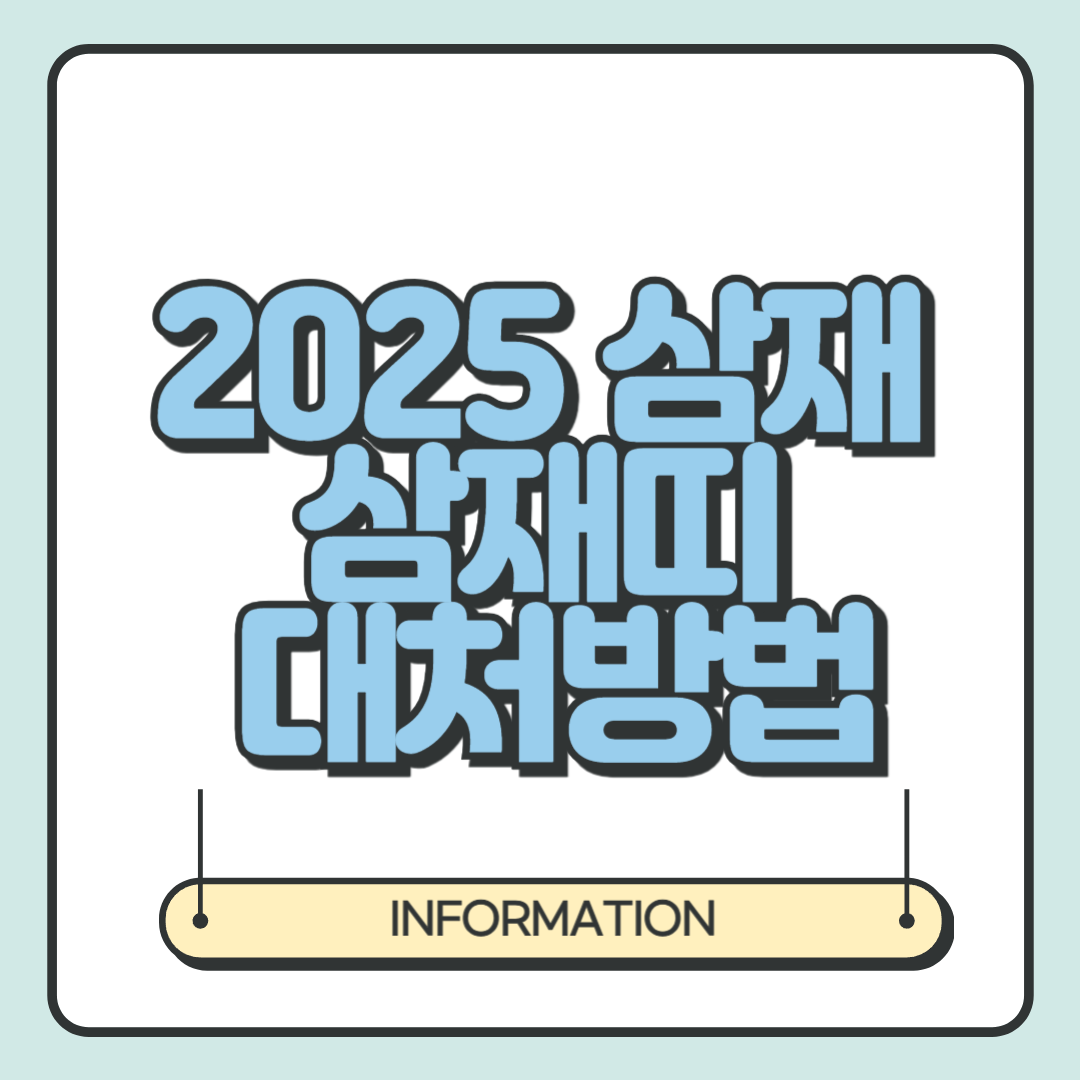 2025 삼재 삼재띠와 대처방법