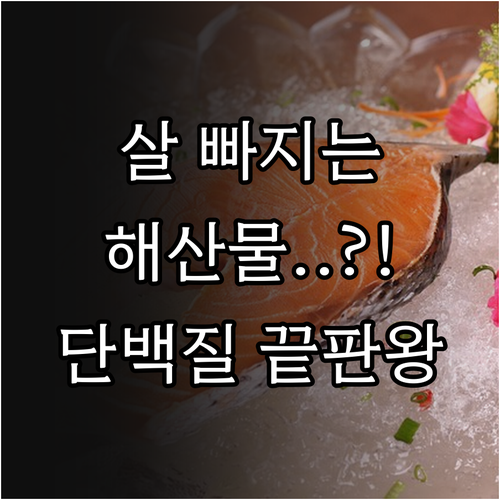 다이어트 효율 높이는 해산물 단백질 ..