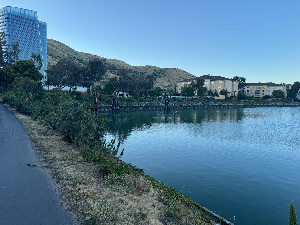 teacher conference 전에 준비하면 좋은 질문들