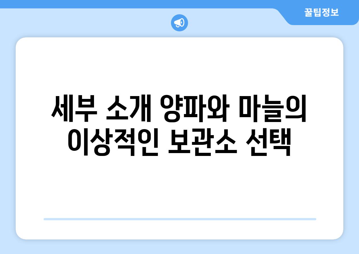 세부 소개 양파와 마늘의 이상적인 보관소 선택