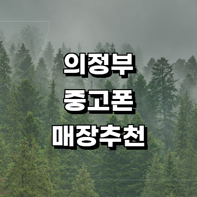 의정부시 중고폰