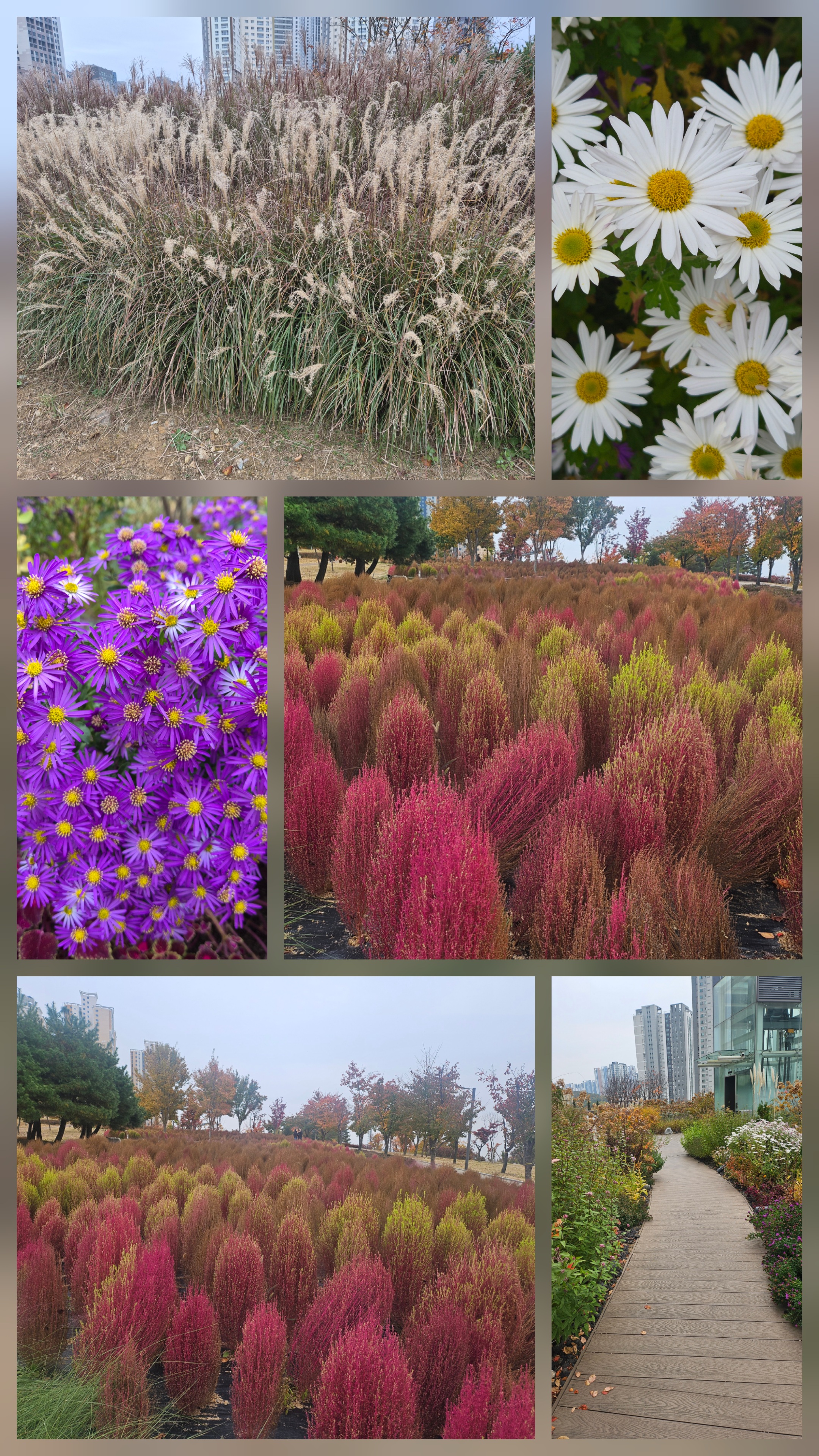 동탄 센트럴파크에서 만난 가을, 롯데백화점 들렀다가 산책까지 완벽했던 하루