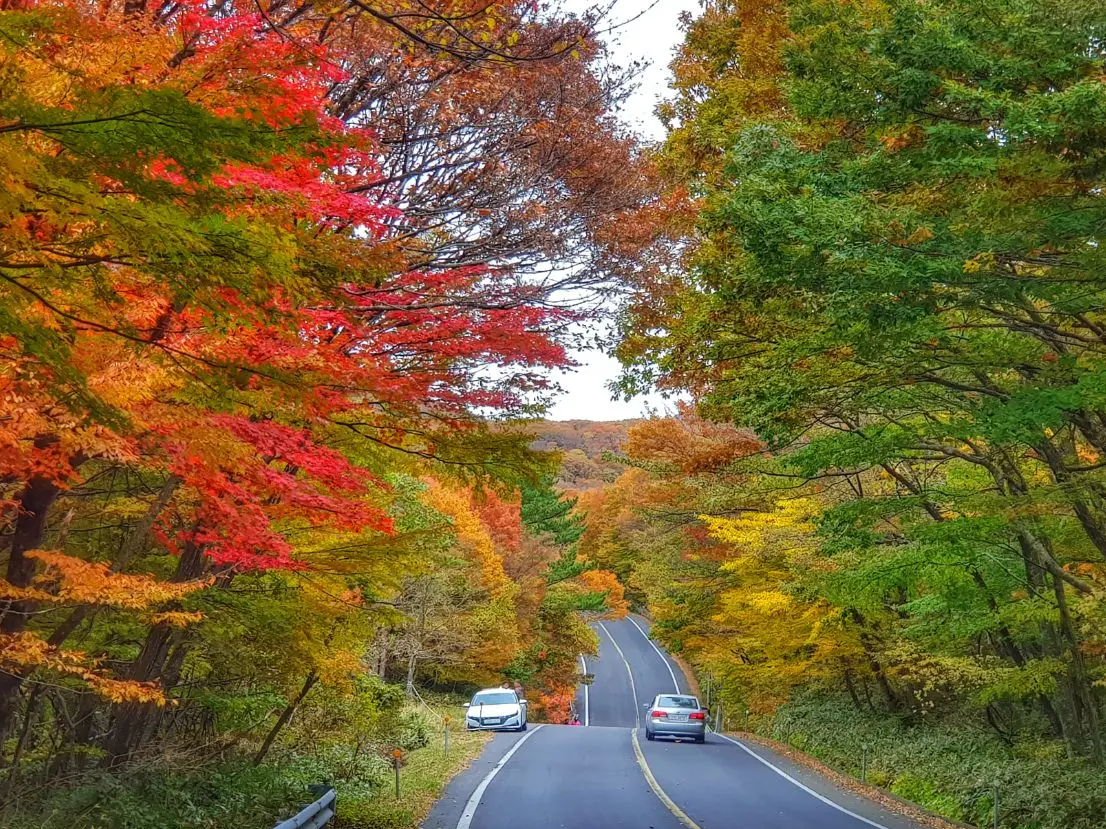한라산-단풍