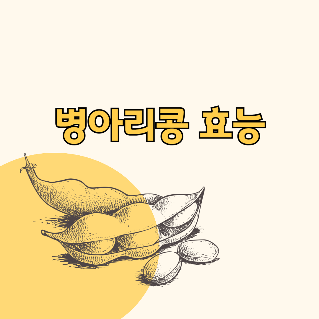 병아리콩 효능