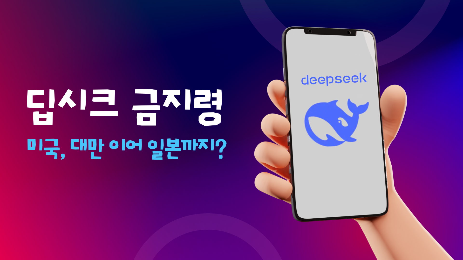 딥시크 금지령